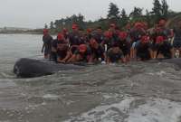 La acción realizada por los soldados impidió la muerte del cetáceo.