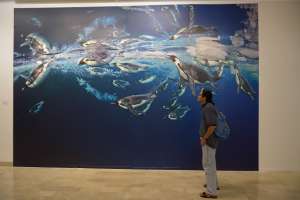 Rafael Romero visit&oacute; la Exposici&oacute;n fotogr&aacute;fica de oc&eacute;anos denominada "Fr&aacute;gil". Foto: Karly Torres