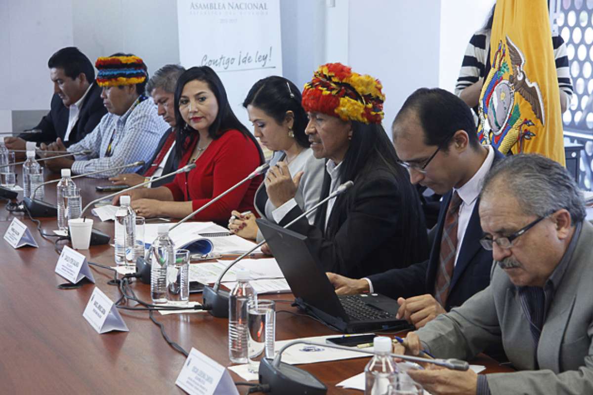 La Comisi&oacute;n de Biodiversidad de la Asamblea culmin&oacute; el pasado lunes la fase de inscripci&oacute;n para la consulta. Foto: Archivo