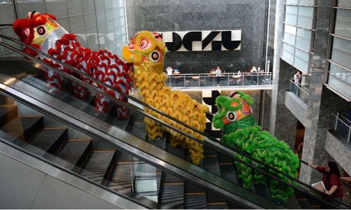 China: &iquest;A&ntilde;o de la Cabra o del Cordero? (Galer&iacute;a)