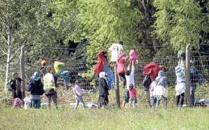 En la regi&oacute;n Roszke, en Hungr&iacute;a, migrantes cruzan una alambrada. Ellos provienen de Serbia. AFP
