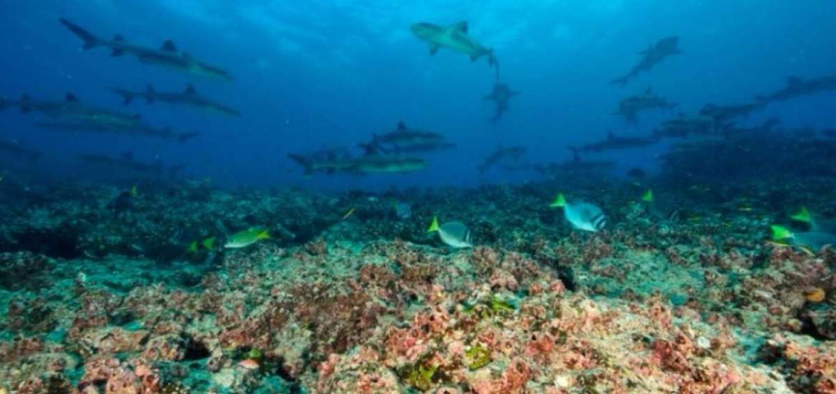 La zonificaci&oacute;n es una medida fundamental para mejorar la conservaci&oacute;n de los ecosistemas.