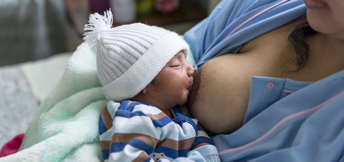 La Organizaci&oacute;n Mundial de la Salud (OMS) establece la lactancia materna exclusiva hasta los 6 meses de edad, as&iacute; el neonato adquiere inmunodefensas. 