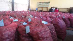 Las nuevas instalaciones de Conpapa tienen una bodega donde el producto se almacena de forma segura. Elizabeth Maggi / El Tel&eacute;grafo