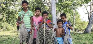 Un grupo de chicos posa con el fruto de a&ccedil;a&iacute;, en la comunidad quilombola de Arancuan alto en Oriximin&aacute; (Brasil). El producto sostiene a esta comunidad.
