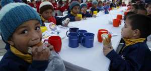  &rarr;La observaci&oacute;n del Ejecutivo a la ley enfatiza la dotaci&oacute;n de alimentos nutritivos y saludables para los menores que est&aacute;n en edad escolar