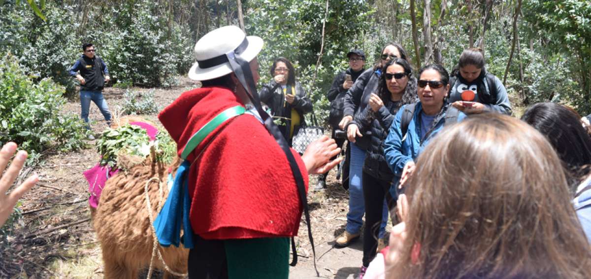 Ante la atenta mirada de los visitantes, la gu&iacute;a nativa del lugar explica los pormenores de la ruta. Los viajeros toman fotograf&iacute;as y anotan lo que ellos consideran lo m&aacute;s importante de la traves&iacute;a.    