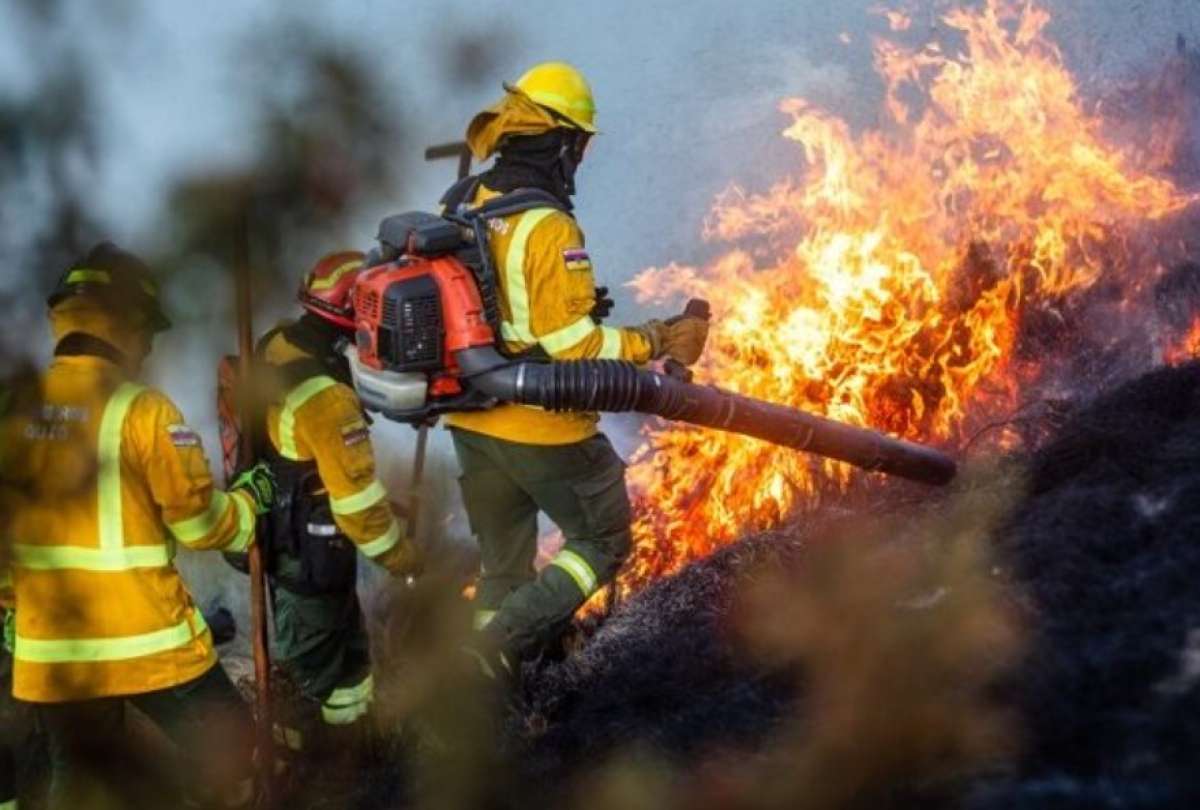 Municipio registró 142 sanciones por incendios provocados.