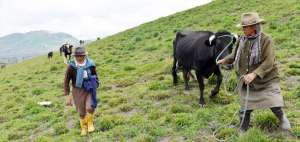 La nueva reactivaci&oacute;n violenta del coloso preocupa a los productores de papa y de otros alimentos.