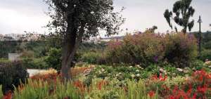 El Jard&iacute;n Bot&aacute;nico Atocha-La Liria es uno de los lugares que los turistas pueden visitar. 
