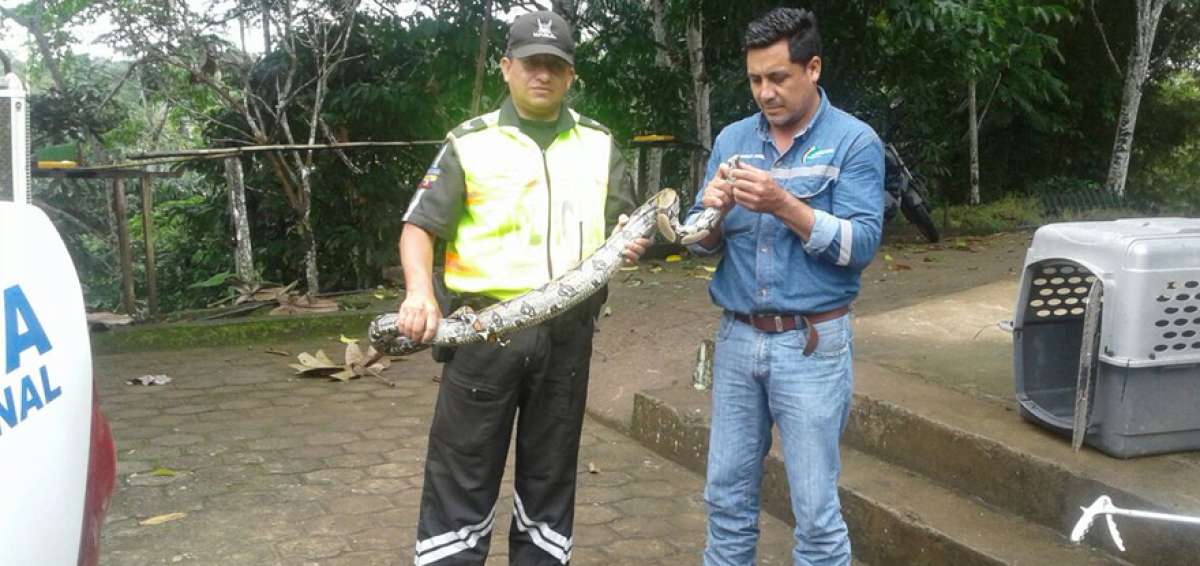 1.700 especies fueron recuperadas en 18 meses