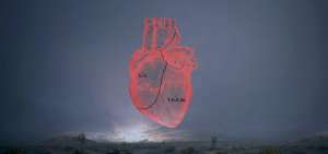 La Academia de Hollywood ha anunciado que entregar&aacute; un Oscar especial al mexicano Alejandro Gonz&aacute;lez I&ntilde;&aacute;rritu por su pel&iacute;cula Carne y arena.