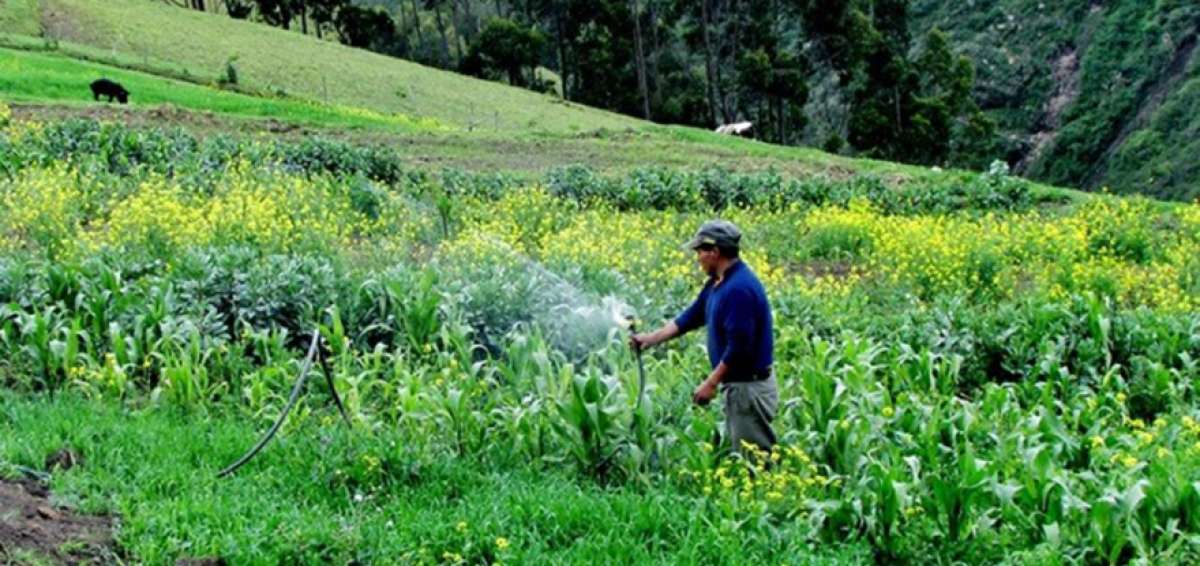 La iniciativa se desarroll&oacute; por medio de los componentes de producci&oacute;n agropecuaria y fortalecimiento organizativo y de capacitaci&oacute;n.    