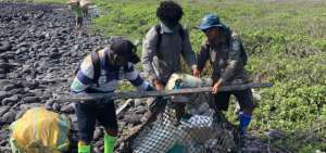Voluntarios recogieron los restos que se acumularon en las costas.