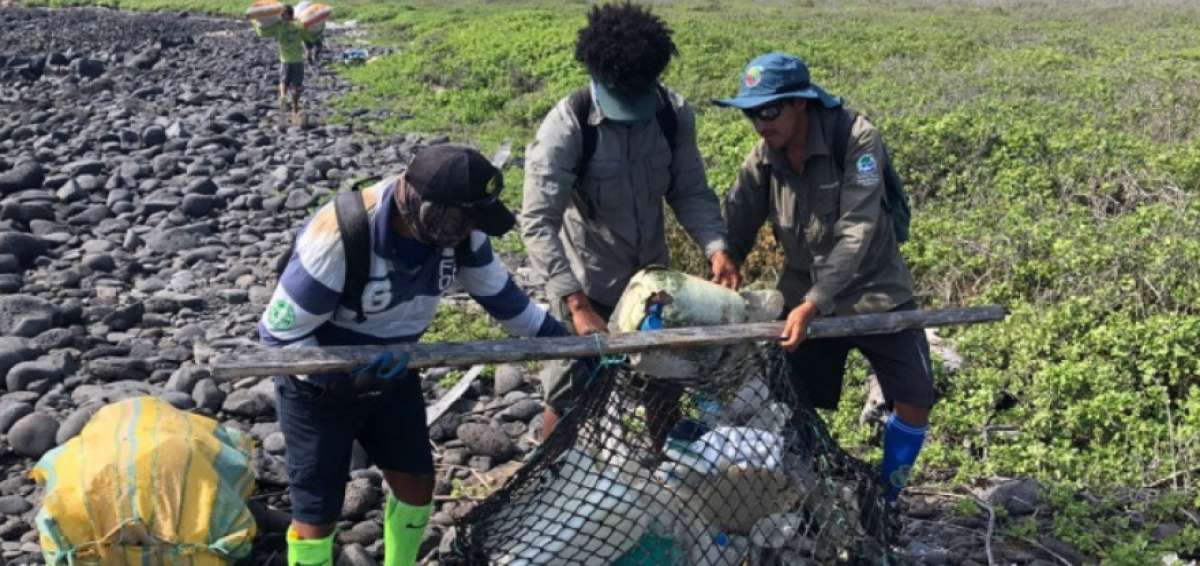 Voluntarios recogieron los restos que se acumularon en las costas.