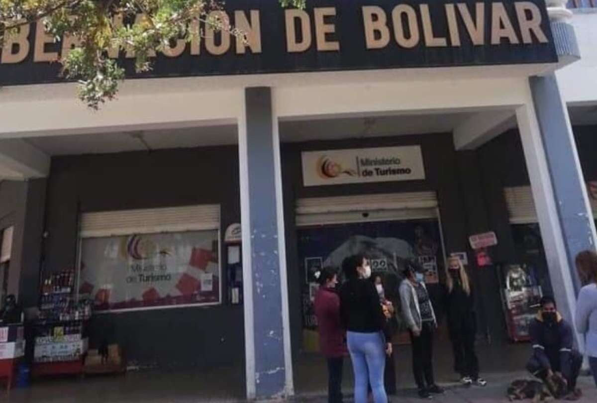 Valentina, la perrita arrojada desde el tercer piso de un edificio p&uacute;blico