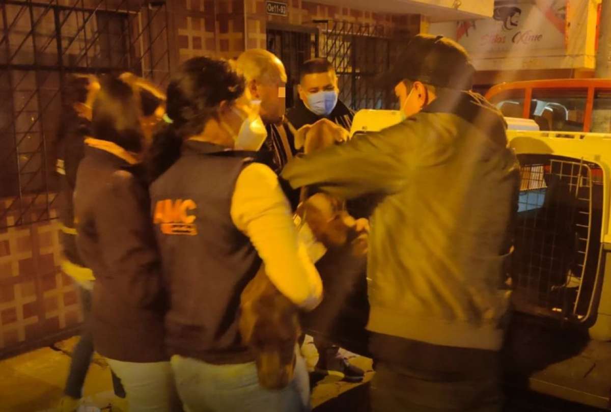 Autoridades rescataron a tres perros maltratados en Quito