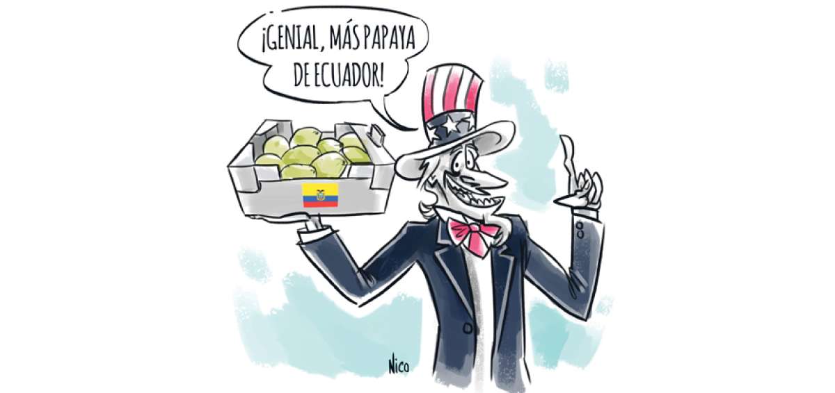 Exportaci&oacute;n