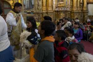 Decenas de mascotas recibieron la bendici&oacute;n en la Iglesia de San Francisco. Foto: Miguel Jim&eacute;nez / EL TEL&Eacute;GRAFO