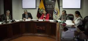 El pleno del CNE decidir&aacute; de qu&eacute; manera se contar&aacute;n los votos nulos, lo que constar&aacute; en un reglamento para evitar confusiones.