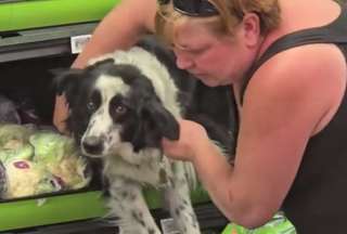 El rescate del perrito provocó un debate en redes sociales. 