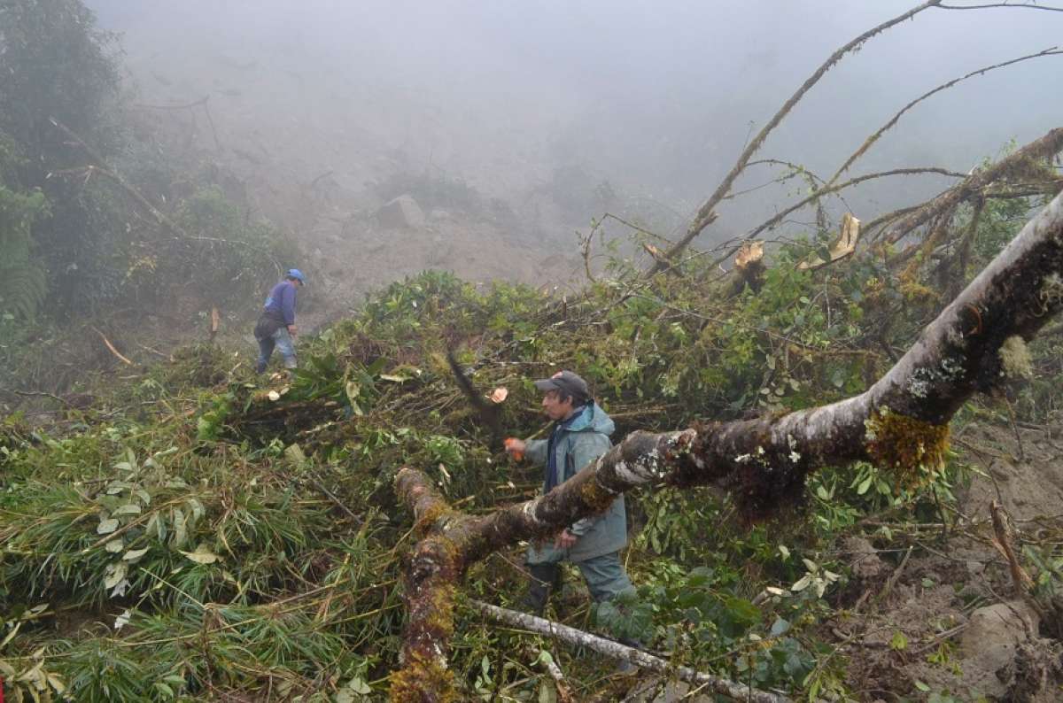 Foto: Carlos Jim&eacute;nez