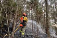 El Cuerpo de bomberos mitigó el fuego.