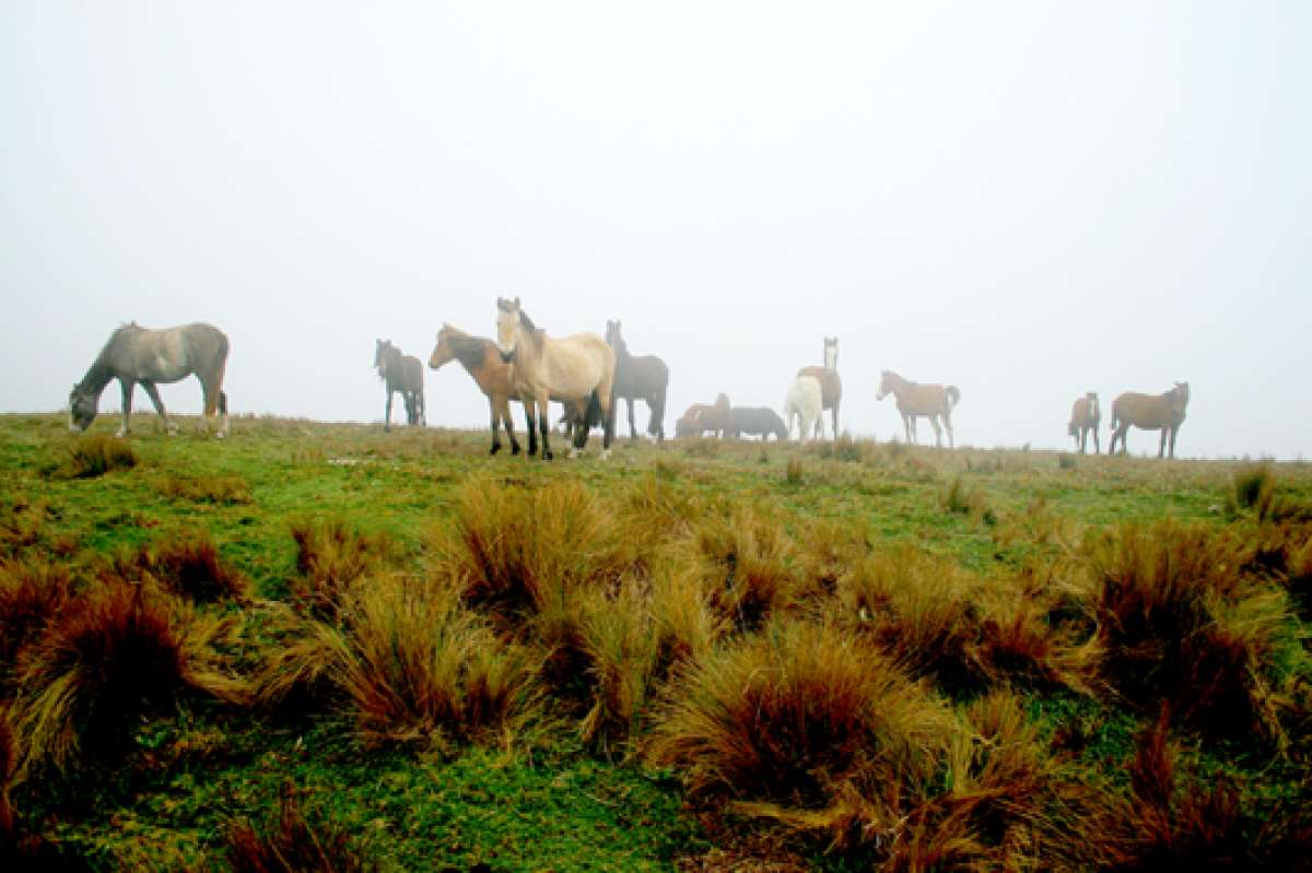 Los Llanganates, un refugio natural que conviene visitar