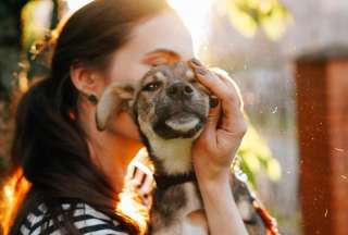 Más de 200 mascotas fueron adoptadas en lo que va del año 2022