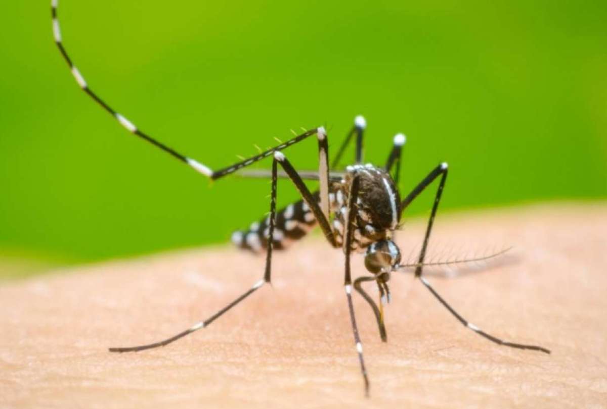 El Ministerio de Salud emitió una alerta epidemiológica, en tres provincias, por el dengue. 