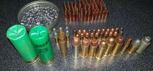 Los agentes encontraron armas de fuego de diferente calibre y 116 municiones. 