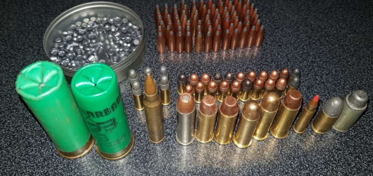 Los agentes encontraron armas de fuego de diferente calibre y 116 municiones. 