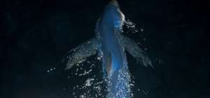 El tibur&oacute;n azul (Prionace glauca) se encuentra en la categor&iacute;a de especie "casi amenazada" de la Uni&oacute;n Internacional para la Conservaci&oacute;n de la Naturaleza (UICN), debido a su masiva pesca con fines comerciales.
