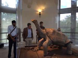 Actualmente, el &lsquo;Solitario George&rsquo; se exhibe en el Museo Americano de Historia Natural, de la ciudad de Nueva York. Foto: Archivo 