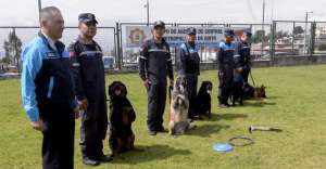 La Unidad Canina del Cuerpo de Agentes Metropolitanos de Control de Quito se inaugur&oacute; en 2014. En la actualidad, 60 perros de varias razas y uno mestizo son parte de este grupo. Los canes son transportados a los distintos sitios en caniles y veh&iacute;culos adecuados. Los equipos trabajan a diario. 