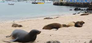 Gal&aacute;pagos celebra 47 a&ntilde;os de provincializaci&oacute;n