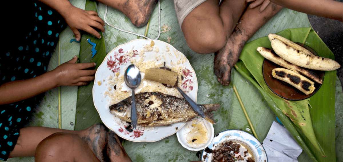 En el mundo 821 millones de personas sufren hambre