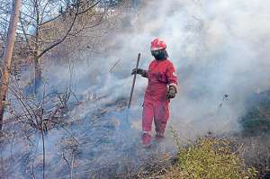 El incendio en el cerro Auqui se habr&iacute;a originado cerca de las 10:00. Personal de los Bomberos, Polic&iacute;a Metropolitana y FF.AA. acudieron al sitio. Foto: &Aacute;lvaro P&eacute;rez.