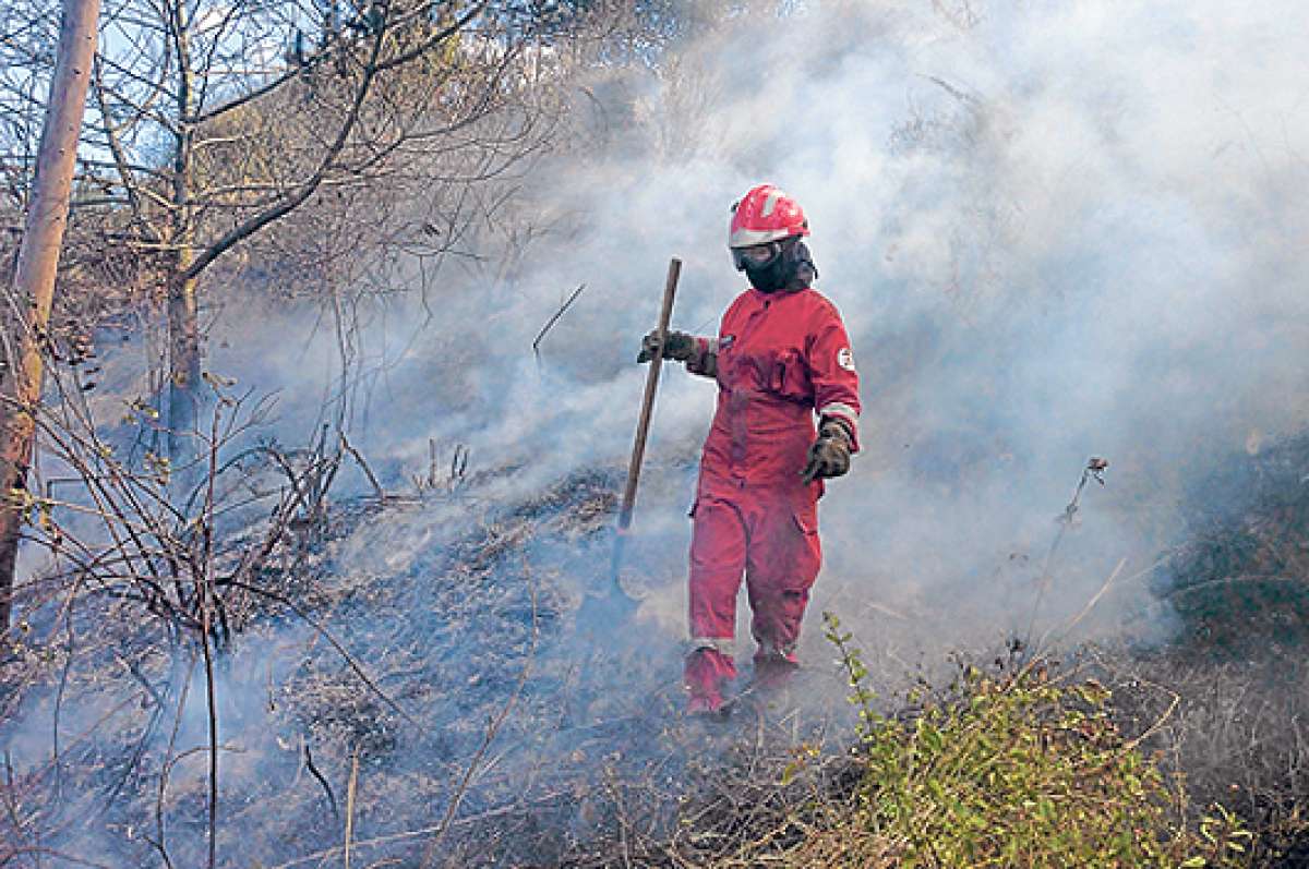 El incendio en el cerro Auqui se habr&iacute;a originado cerca de las 10:00. Personal de los Bomberos, Polic&iacute;a Metropolitana y FF.AA. acudieron al sitio. Foto: &Aacute;lvaro P&eacute;rez.