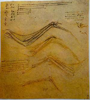 Cuatro estudios de la estructura &oacute;sea de un ala de p&aacute;jaro. C&oacute;dice Sobre el Vuelo de los P&aacute;jaros. Leonardo Da Vinci, que se exhibe en el Museo de Bellas Artes de M&eacute;xico. Foto internet que