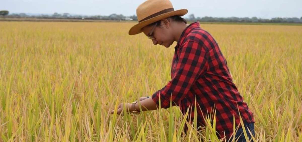 Mariuxi G&oacute;mez Torres lidera el viceministerio de Agricultura
