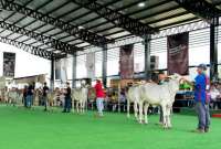 En el 2022 la feria recibió a cerca de 50.000 personas en Chone. 