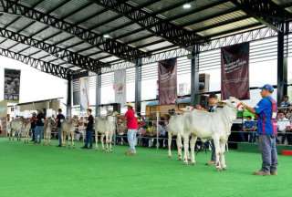 En el 2022 la feria recibió a cerca de 50.000 personas en Chone. 