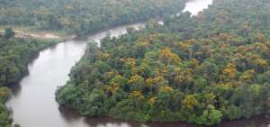 Los territorios de los pa&iacute;ses que conforman la OTCA  se encuentran en la cuenca del r&iacute;o Amazonas.