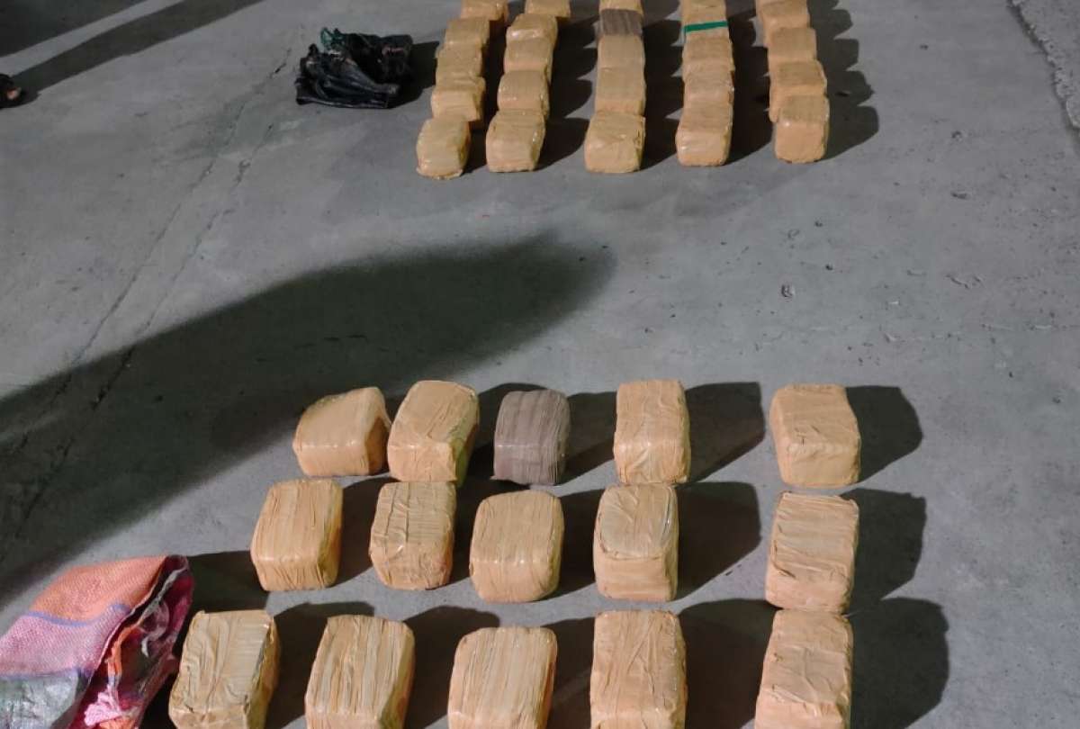 Polic&iacute;a Nacional realiz&oacute; 24 operativos para decomisar drogas