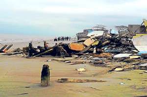 La fuerza de las olas en tierra arranc&oacute; los &aacute;rboles de ra&iacute;z y los arrastr&oacute; hasta la zona de playa. Foto: Fabricio Cruz/ El Tel&eacute;grafo 