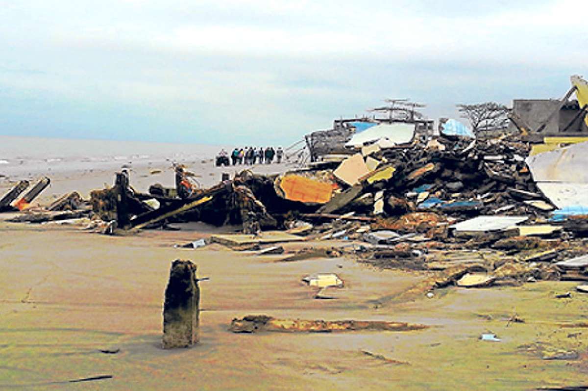 La fuerza de las olas en tierra arranc&oacute; los &aacute;rboles de ra&iacute;z y los arrastr&oacute; hasta la zona de playa. Foto: Fabricio Cruz/ El Tel&eacute;grafo 