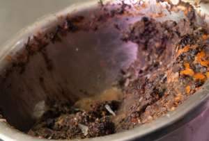 Denuncias por afectaciones gastrointestinales llevaron a inspecci&oacute;n de cangrejal en Guayaquil