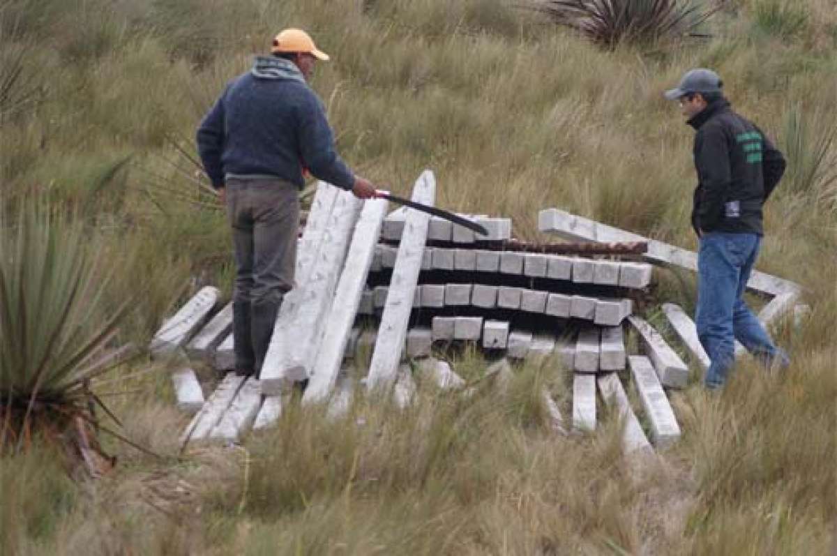 En la zona predomina la vegetaci&oacute;n de p&aacute;ramo herb&aacute;ceo y arbustivo.