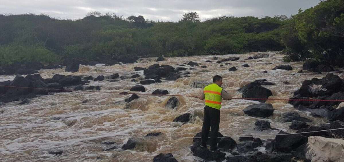 La Polic&iacute;a intervino para poner a salvo a los turistas. 